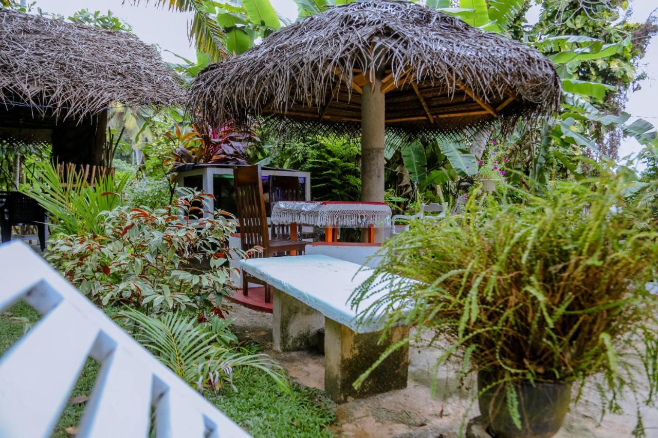 Sajana Ocean Hill Acomodação com café da manhã Mirissa Exterior foto